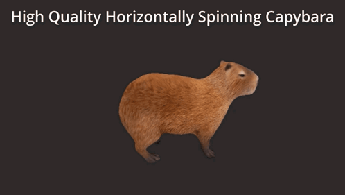 capy